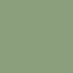 Плитка для бассейна Agrob Buchtal Chroma Non-Slip gruen dunkel RH C, 244x119x8 мм
